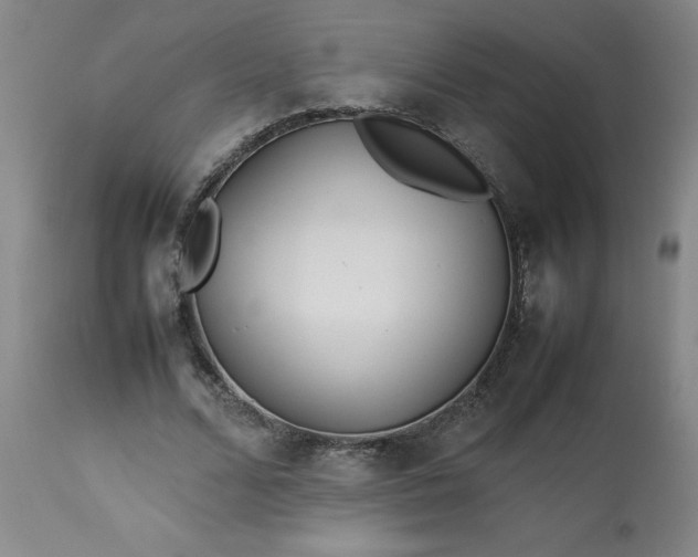 X0000113210680200909241424