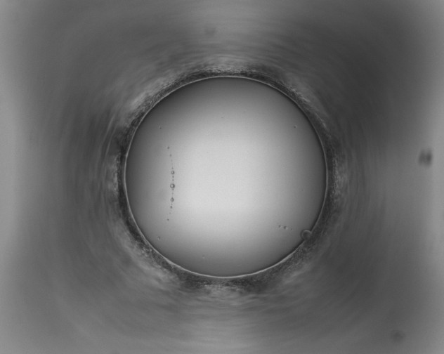 X0000113210681200909241424