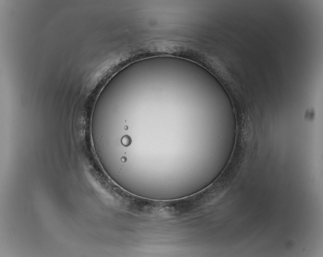 X0000113210683200909241424