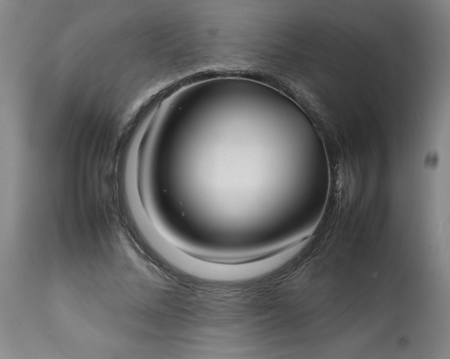 X0000113210684200909241424