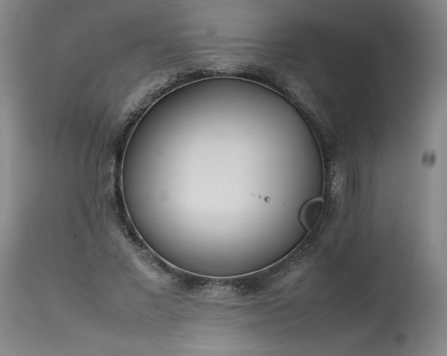 X0000113210685200909241424