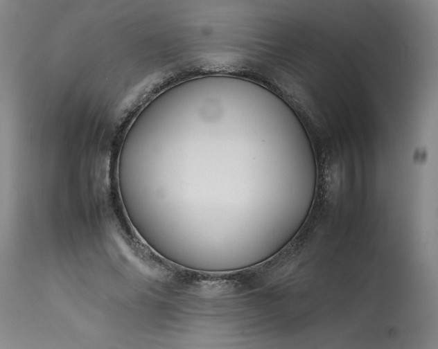 X0000113210686200909241424