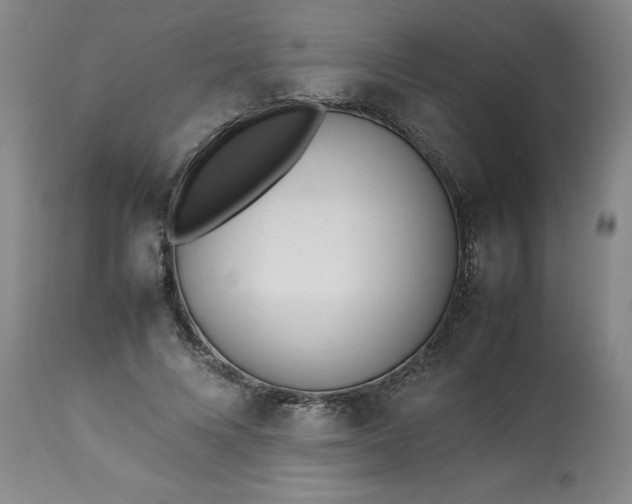 X0000113210688200909241424