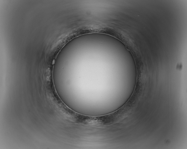 X0000113210689200909241424