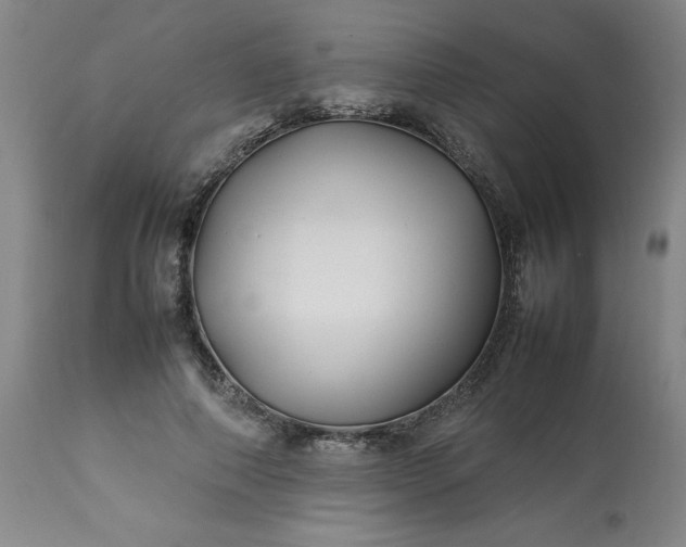 X0000113210690200909241424