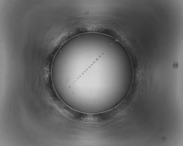 X0000113210691200909241424