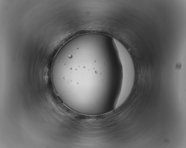 X0000113210692200909241424