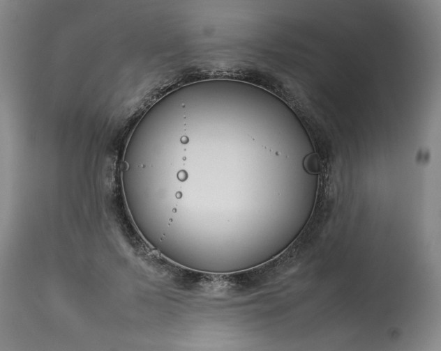 X0000113210695200909241424