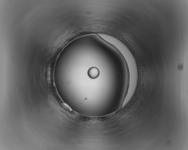 X0000113210696200909241424