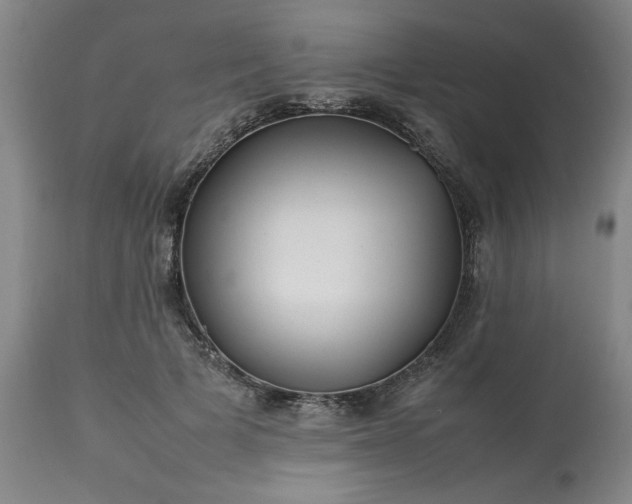 X0000113210697200909241424