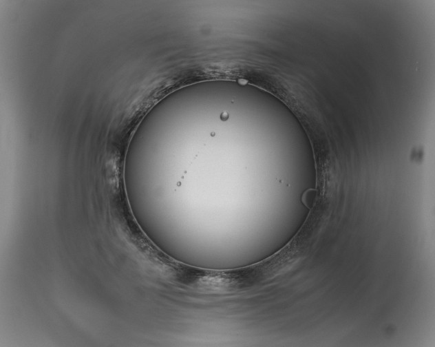 X0000113210699200909241424