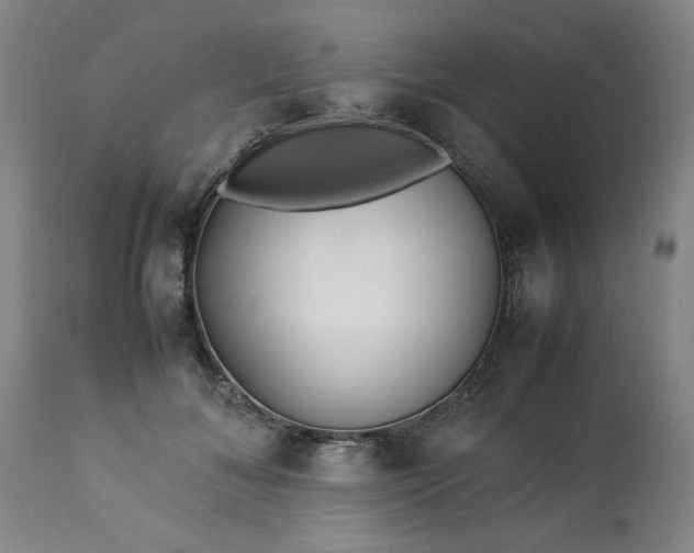 X0000113210700200909241424