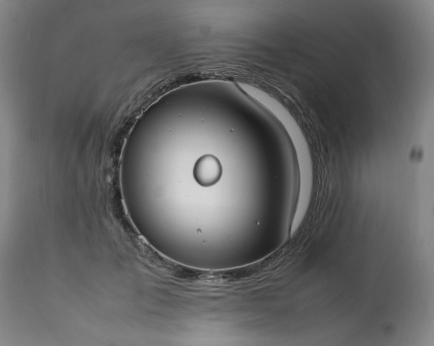 X0000113210701200909241424