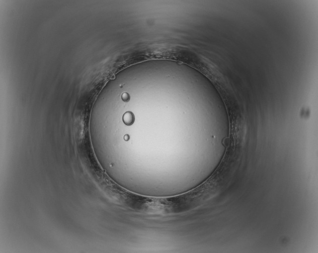 X0000113210703200909241424