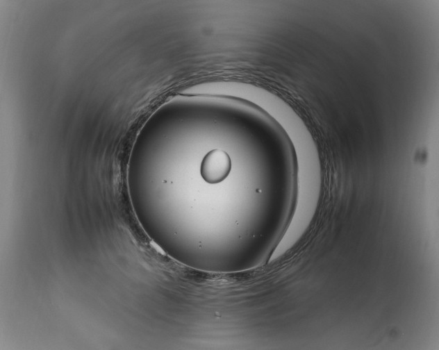 X0000113210704200909241424