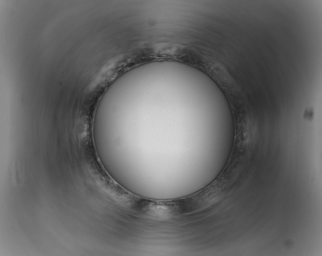 X0000113210706200909241424