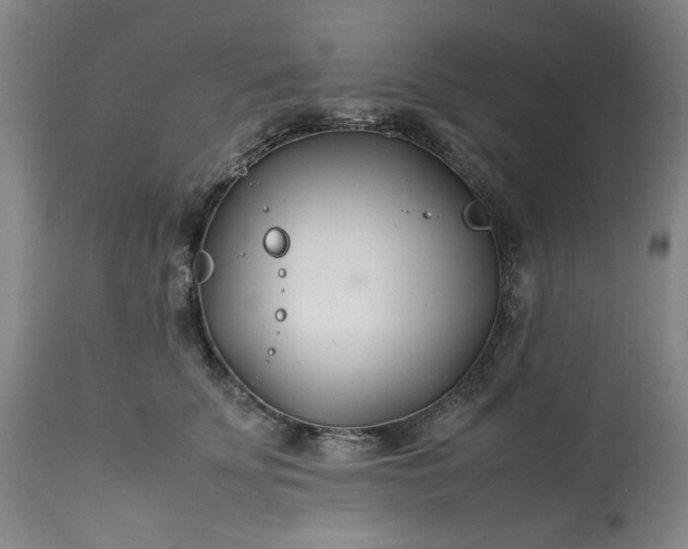 X0000113210707200909241424