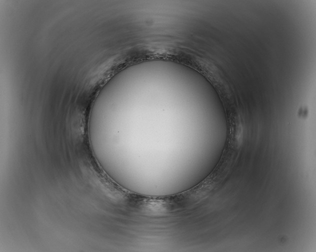 X0000113210710200909241424