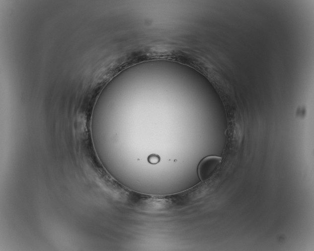 X0000113210711200909241424