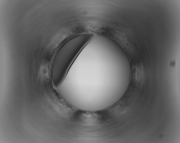 X0000113210712200909241424