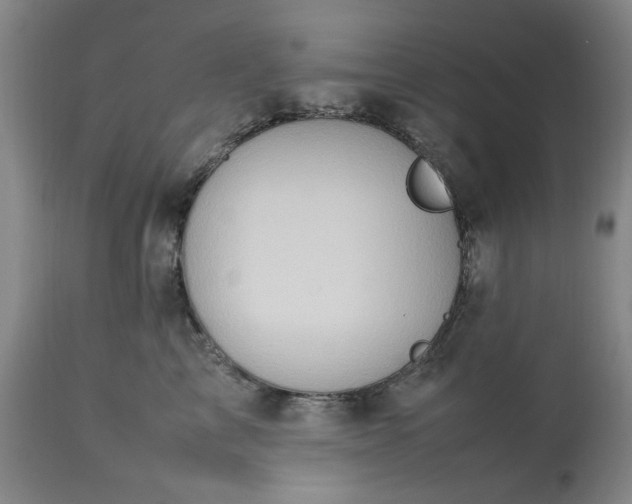 X0000113210713200909241424