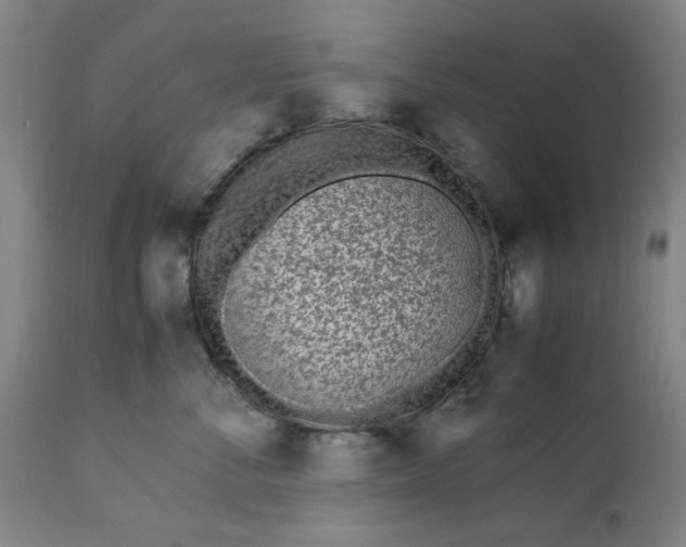 X0000113210716200909241424