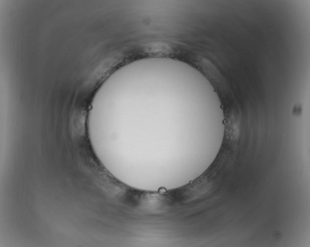 X0000113210717200909241424