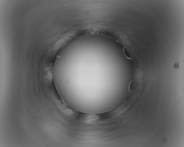 X0000113210719200909241424