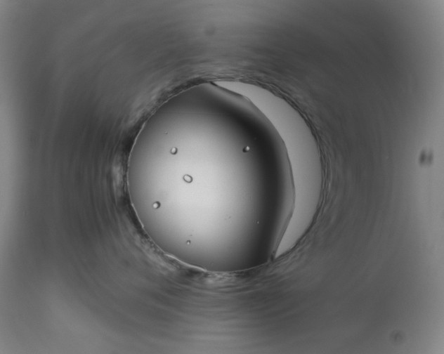 X0000113210720200909241424