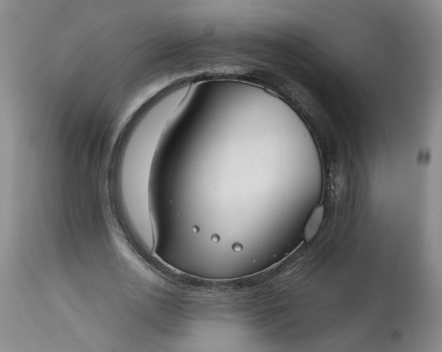 X0000113210726200909241423