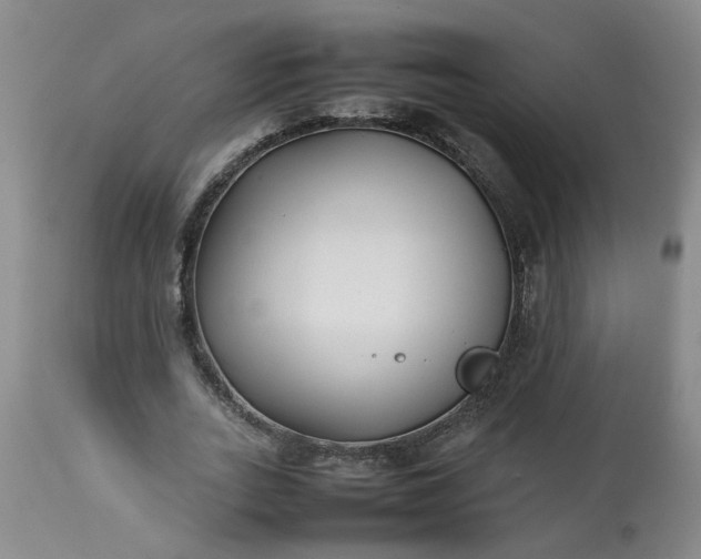 X0000113210727200909241423