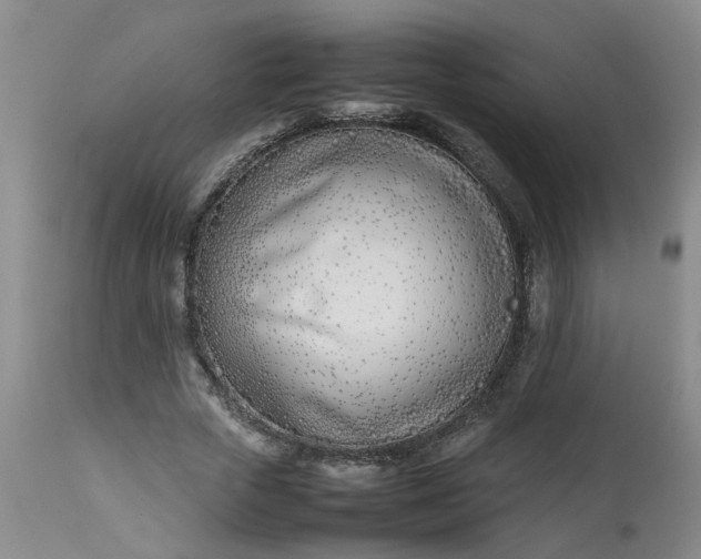 X0000113210729200909241423