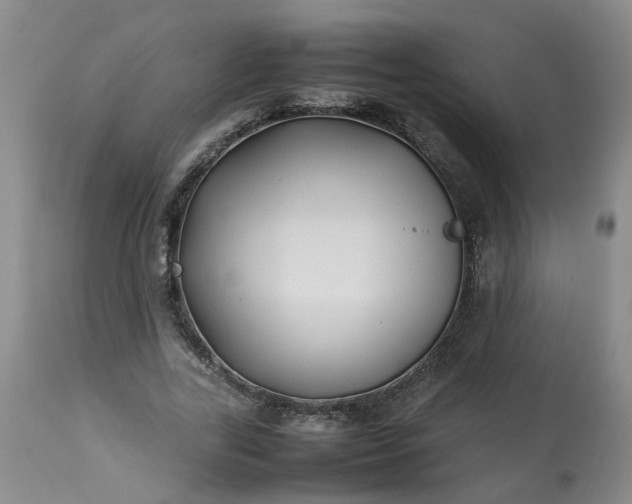 X0000113210731200909241423