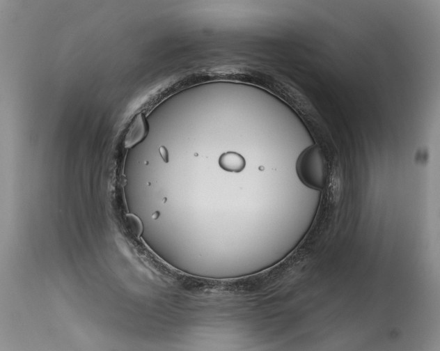 X0000113210732200909241423