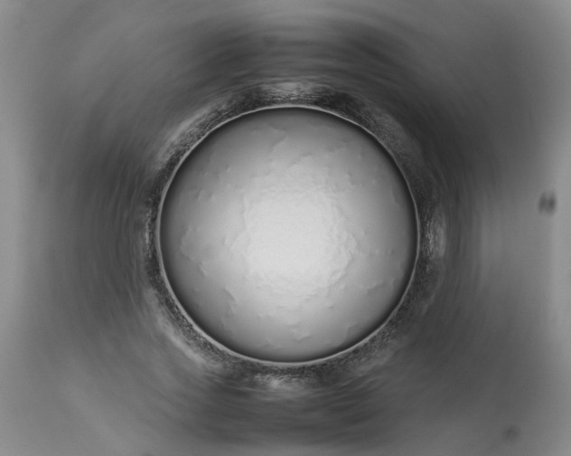 X0000113210733200909241423