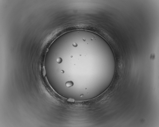 X0000113210734200909241423