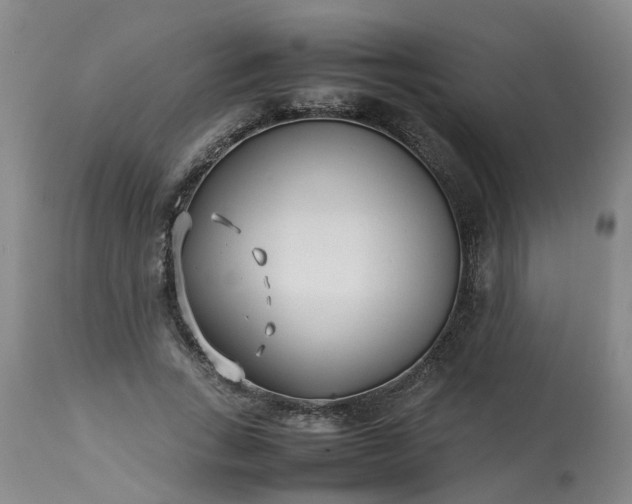 X0000113210735200909241423