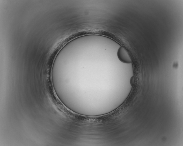 X0000113210736200909241423