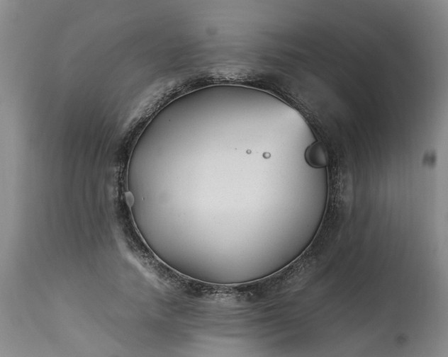 X0000113210738200909241423