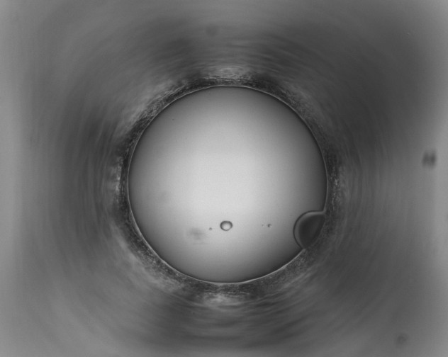 X0000113210739200909241423