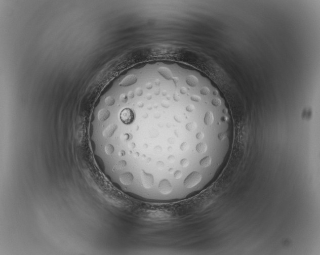 X0000113210741200909241423