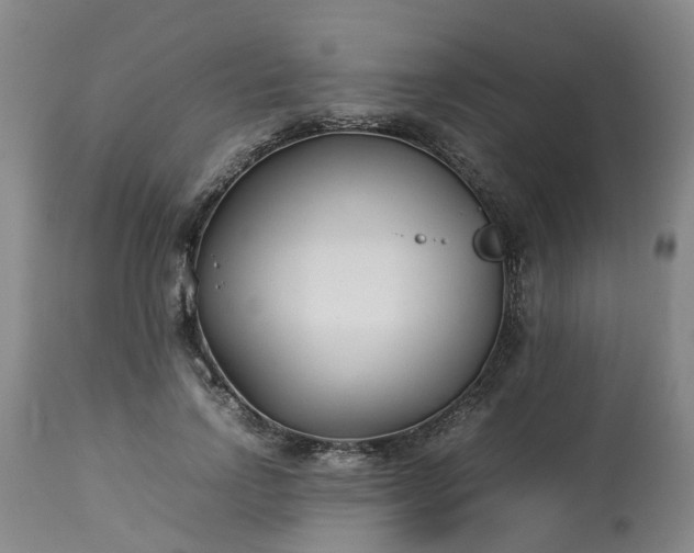 X0000113210742200909241423