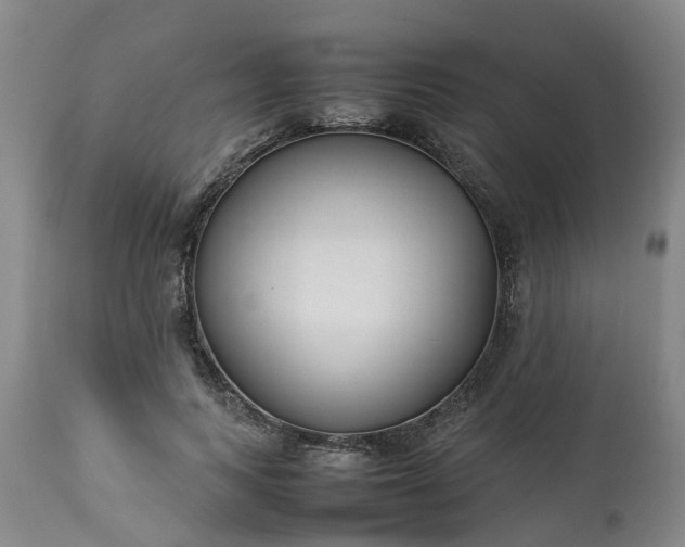 X0000113210743200909241423