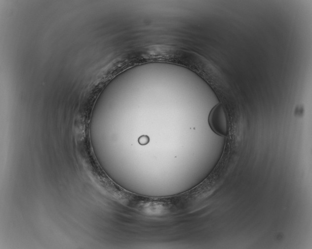 X0000113210751200909241423