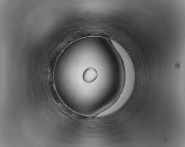 X0000113210752200909241423