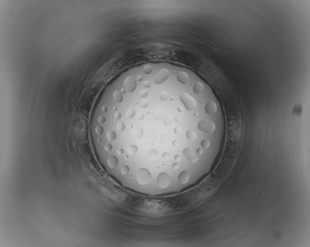 X0000113210753200909241423