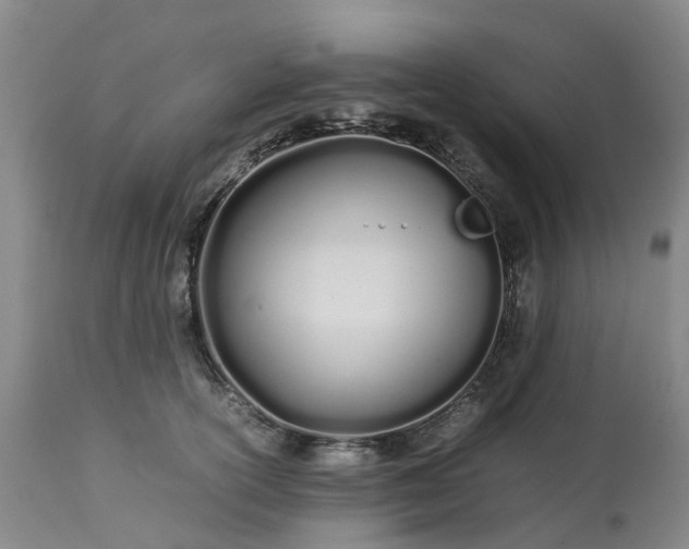 X0000113210754200909241423