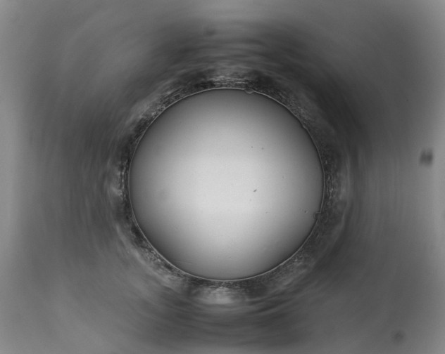 X0000113210755200909241423