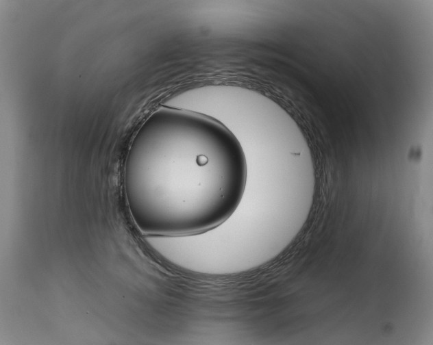 X0000113210756200909241423