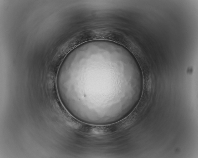 X0000113210757200909241423